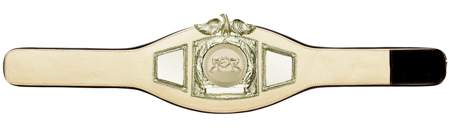 PROEAGLE GRAPPLING CHAMPIONSHIP BELT - PROEAGLE/G/GRAPG - AVAILABLE IN 6+ COLOURS PROEAGLE GRAPPLING CHAMPIONSHIP BELT - PROEAGLE/G/GRAPG - AVAILABLE IN 6+ COLOURS